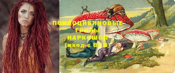 индика Верея