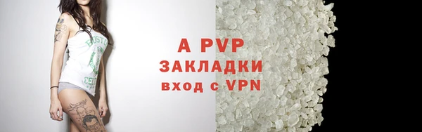 ПСИЛОЦИБИНОВЫЕ ГРИБЫ Бородино