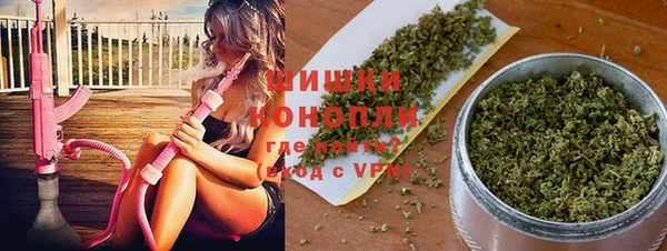 ПСИЛОЦИБИНОВЫЕ ГРИБЫ Бородино