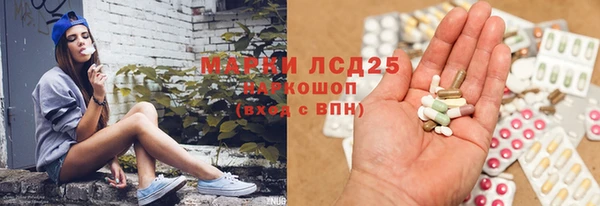 ПСИЛОЦИБИНОВЫЕ ГРИБЫ Бородино