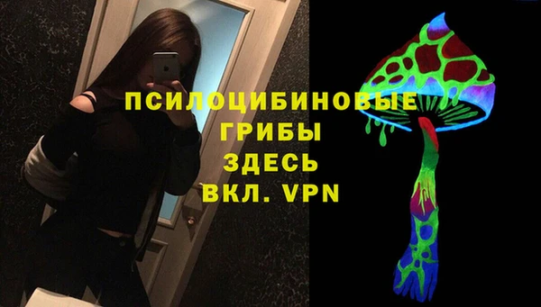 герыч Верхний Тагил