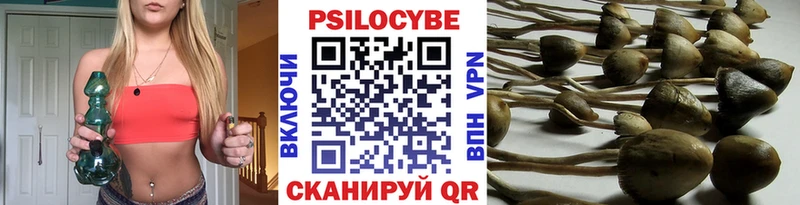 Галлюциногенные грибы GOLDEN TEACHER  Кизляр 